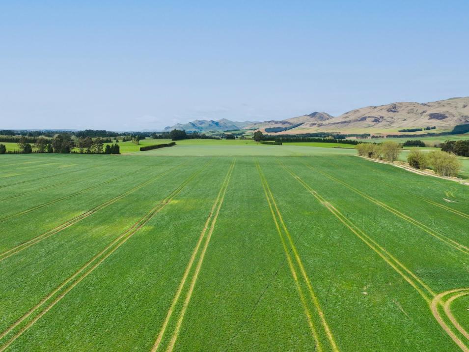 909 Nine Mile Road, Riversdale