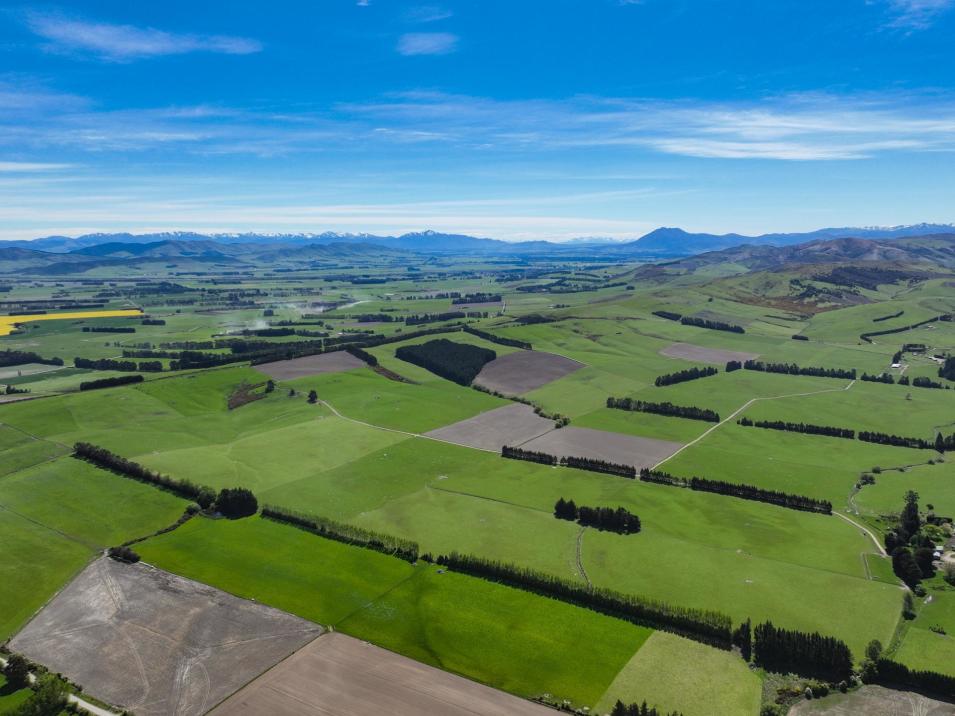 Longridge Road, Longridge North