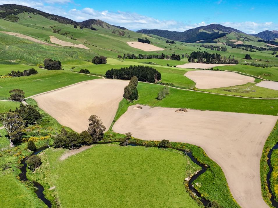 1024 Owaka Valley Road, Owaka