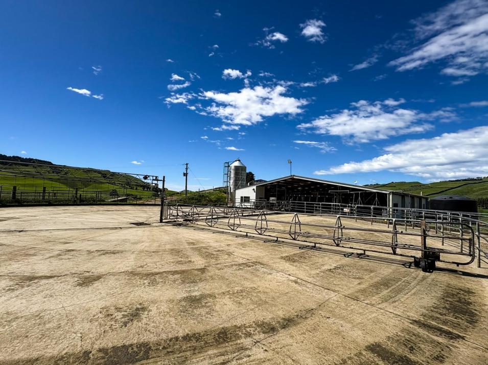 1024 Owaka Valley Road, Owaka