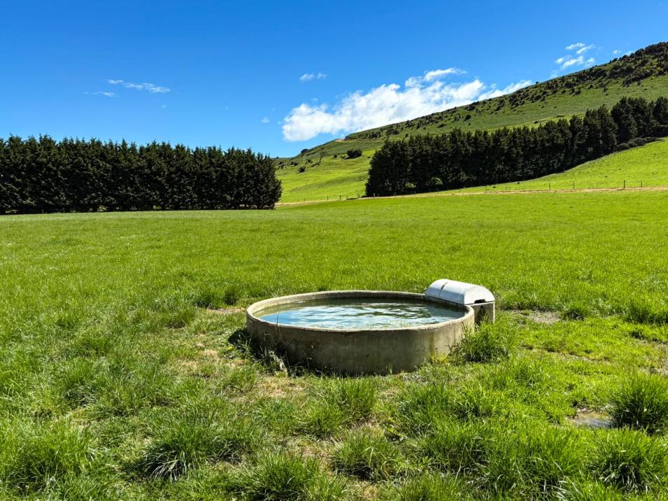 1024 Owaka Valley Road, Owaka