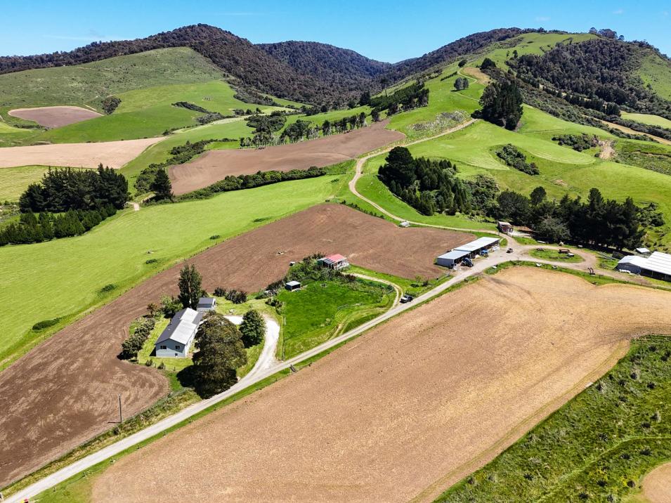 124 Niagara Waikawa Road, Tokanui