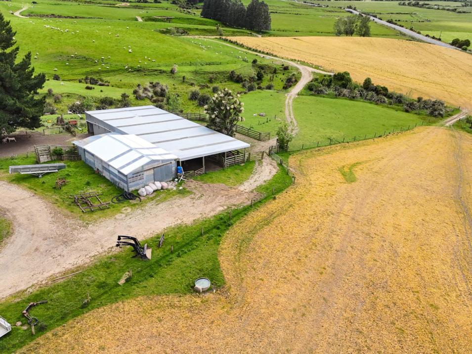 124 Niagara Waikawa Road, Tokanui