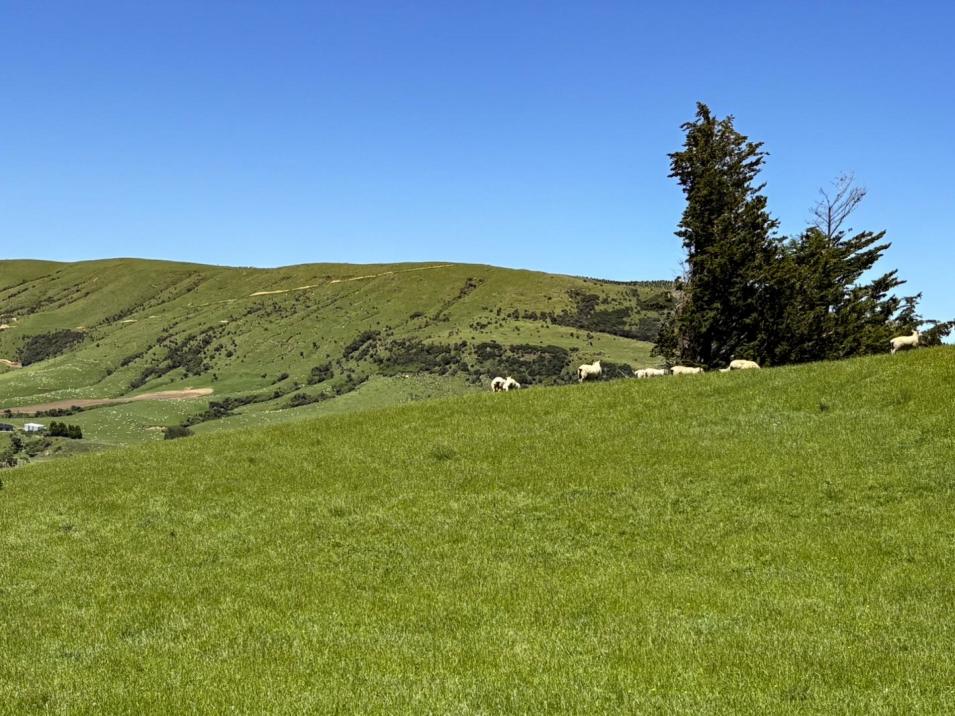 124 Niagara Waikawa Road, Tokanui