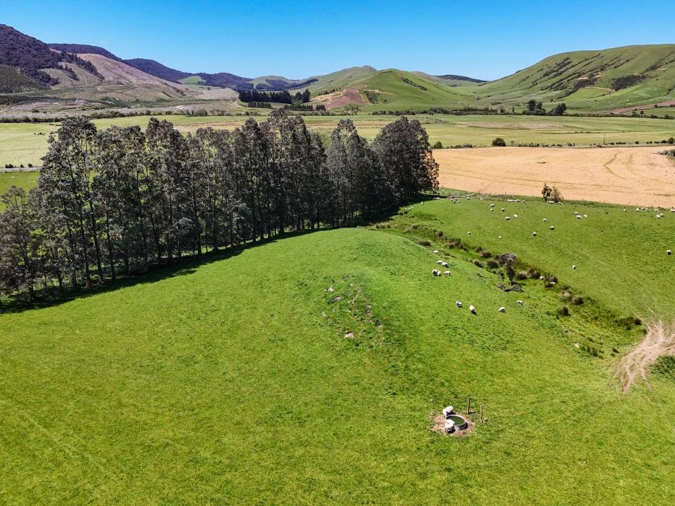 124 Niagara Waikawa Road, Tokanui