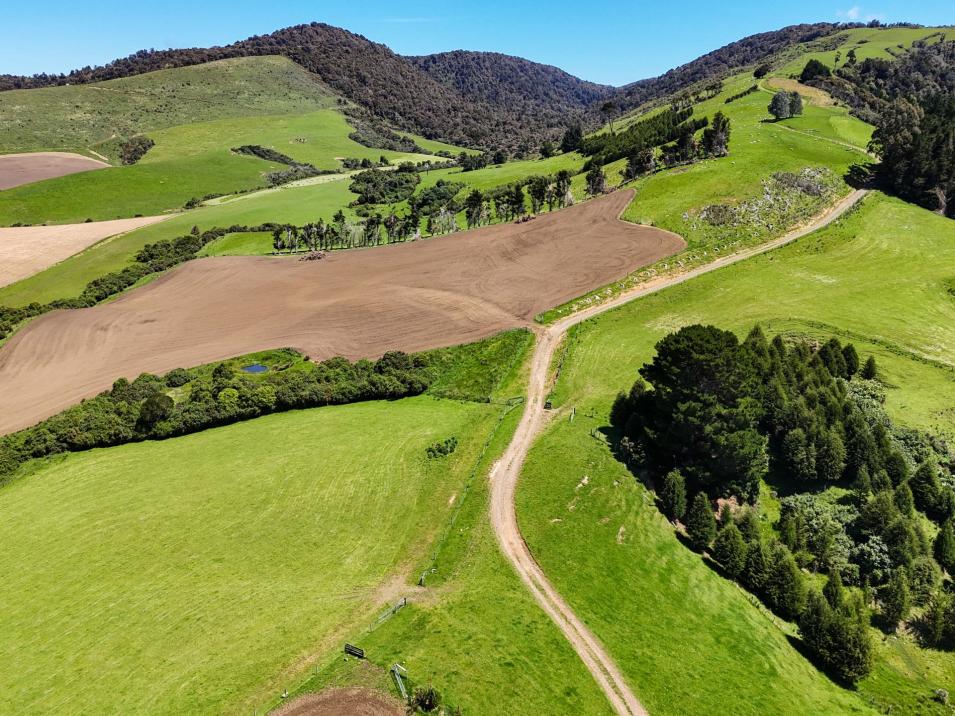 124 Niagara Waikawa Road, Tokanui