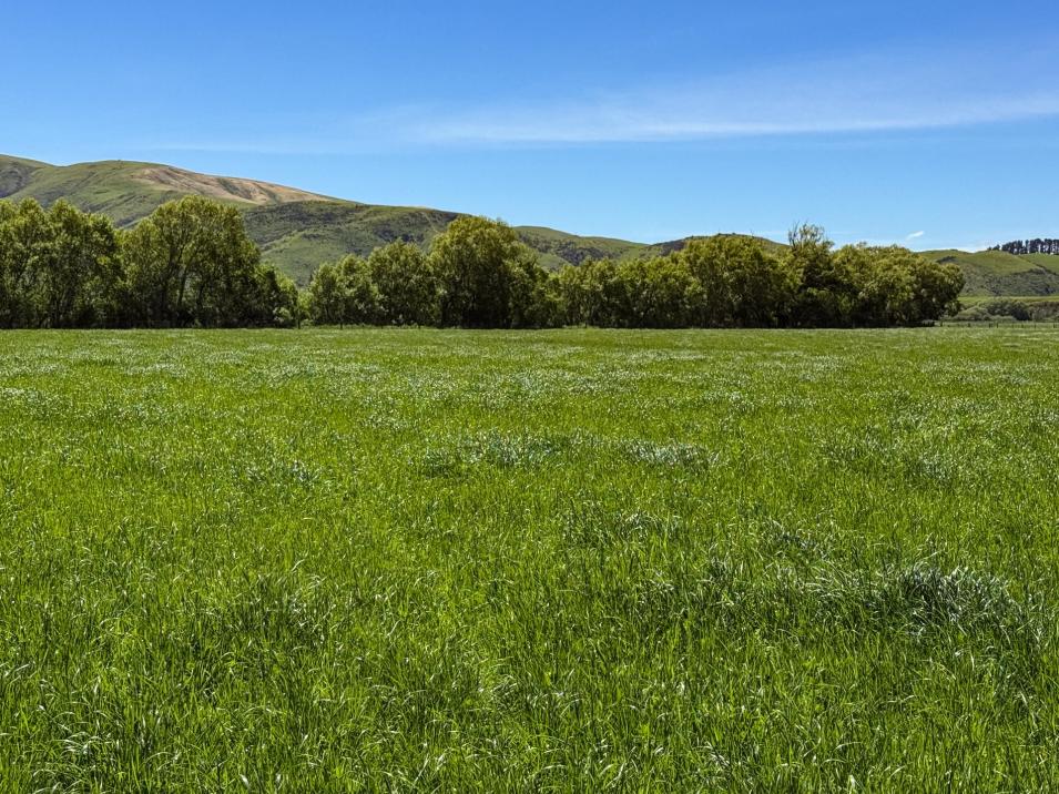 840 Ardlussa Cattleflat Road, Cattle Flat