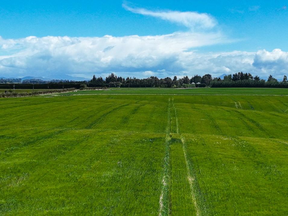 400 Mandeville Kingston Crossing Road, Nine Mile