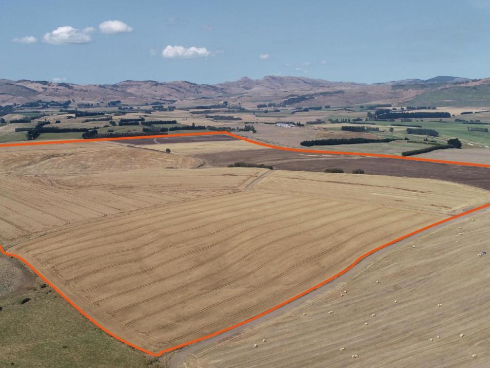 400 Mandeville Kingston Crossing Road, Nine Mile