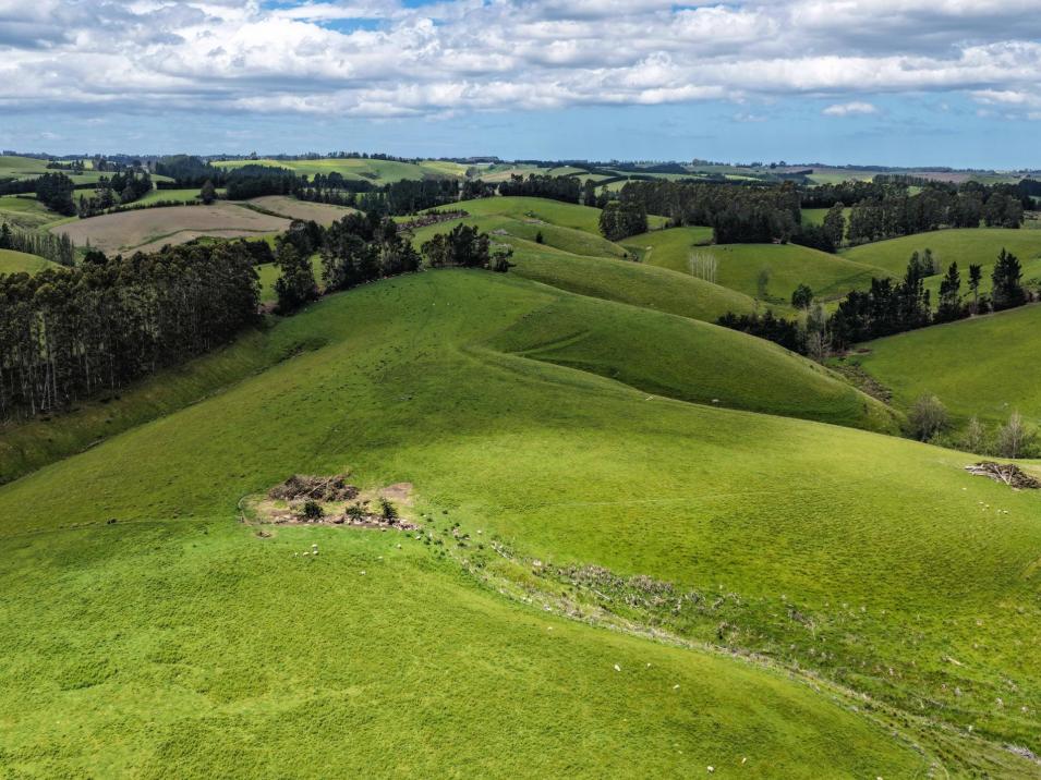 144 Block Road, Pukeawa