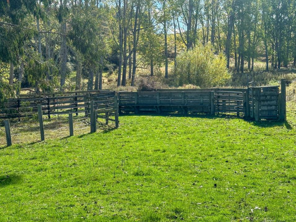 144 Block Road, Pukeawa