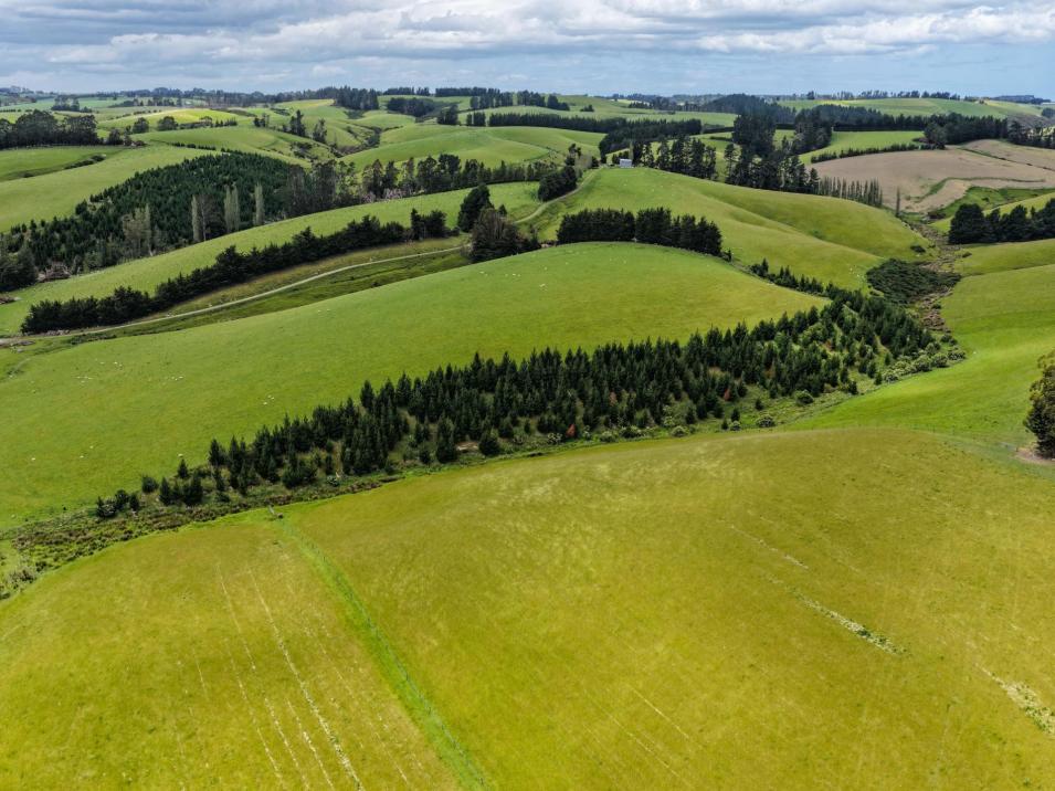 144 Block Road, Pukeawa