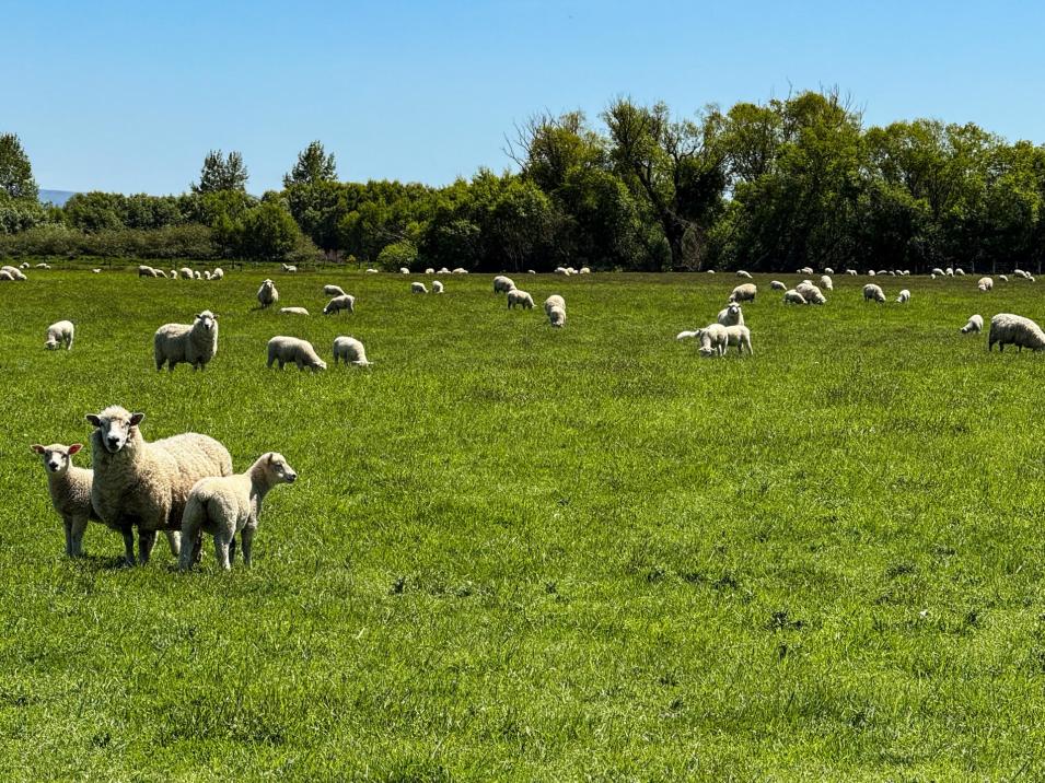 573 Otama Flat Road, Otama