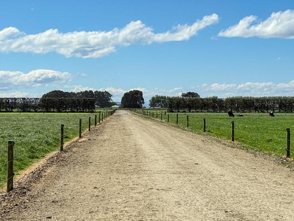 296 Oporo Flat Road, Oporo