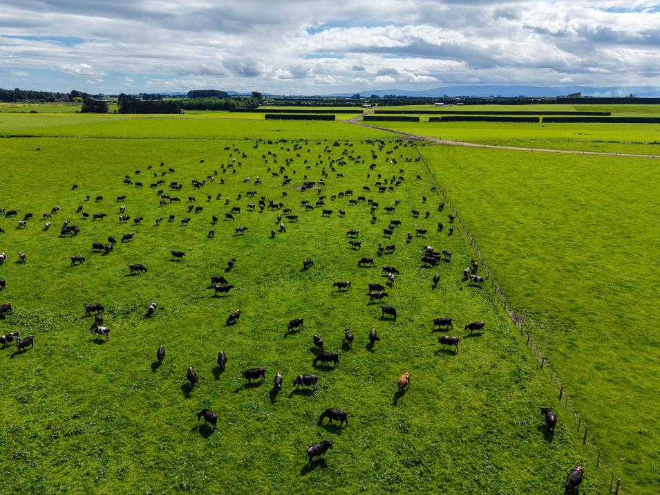 296 Oporo Flat Road, Oporo