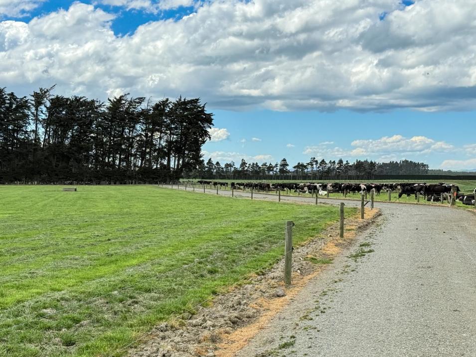 296 Oporo Flat Road, Oporo