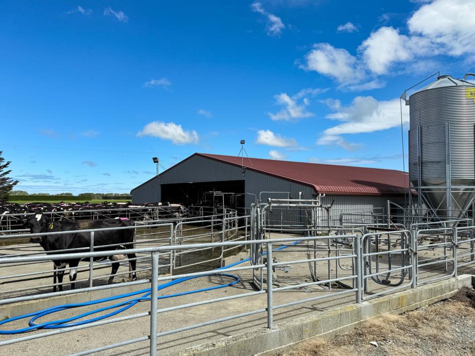 296 Oporo Flat Road, Oporo