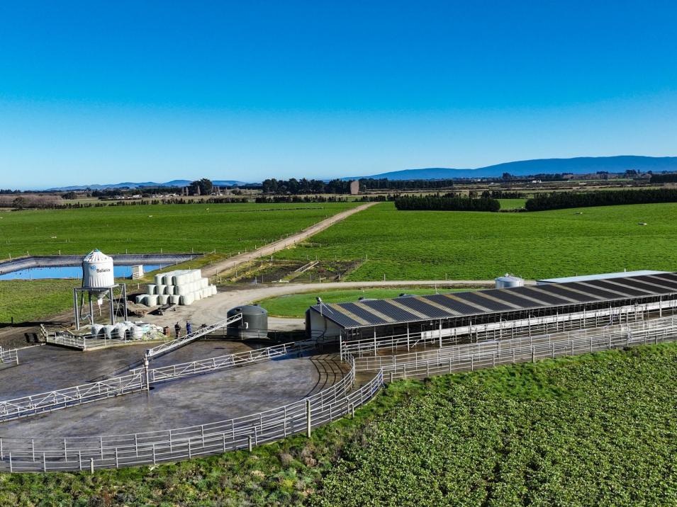 91 King Road, Waianiwa