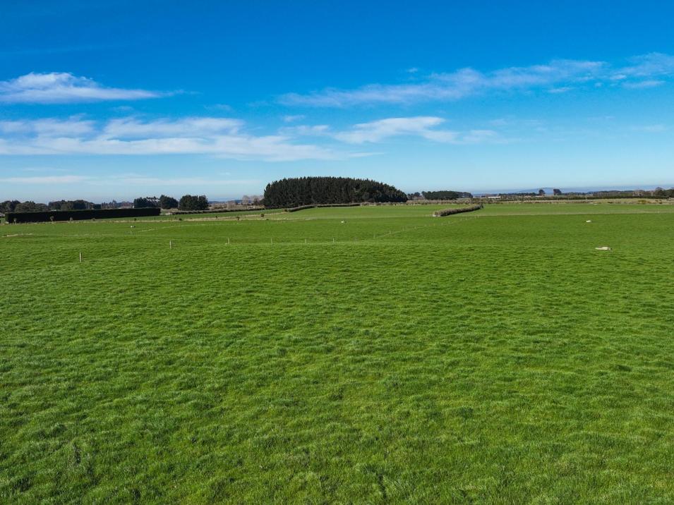 91 King Road, Waianiwa