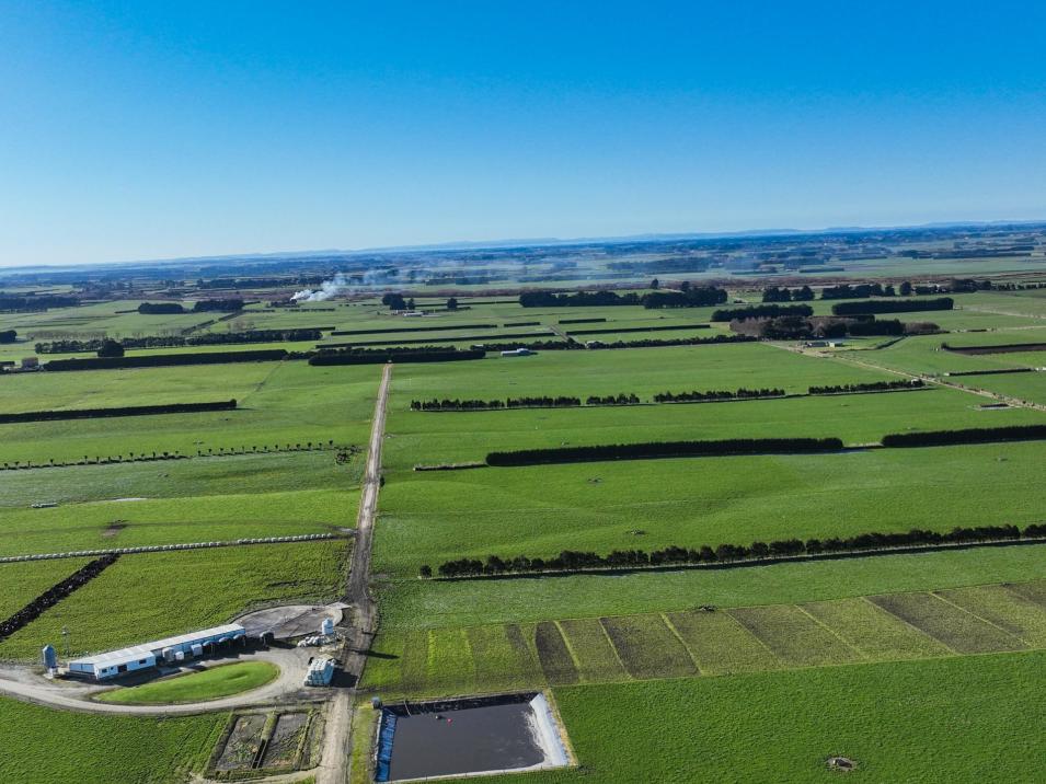 91 King Road, Waianiwa