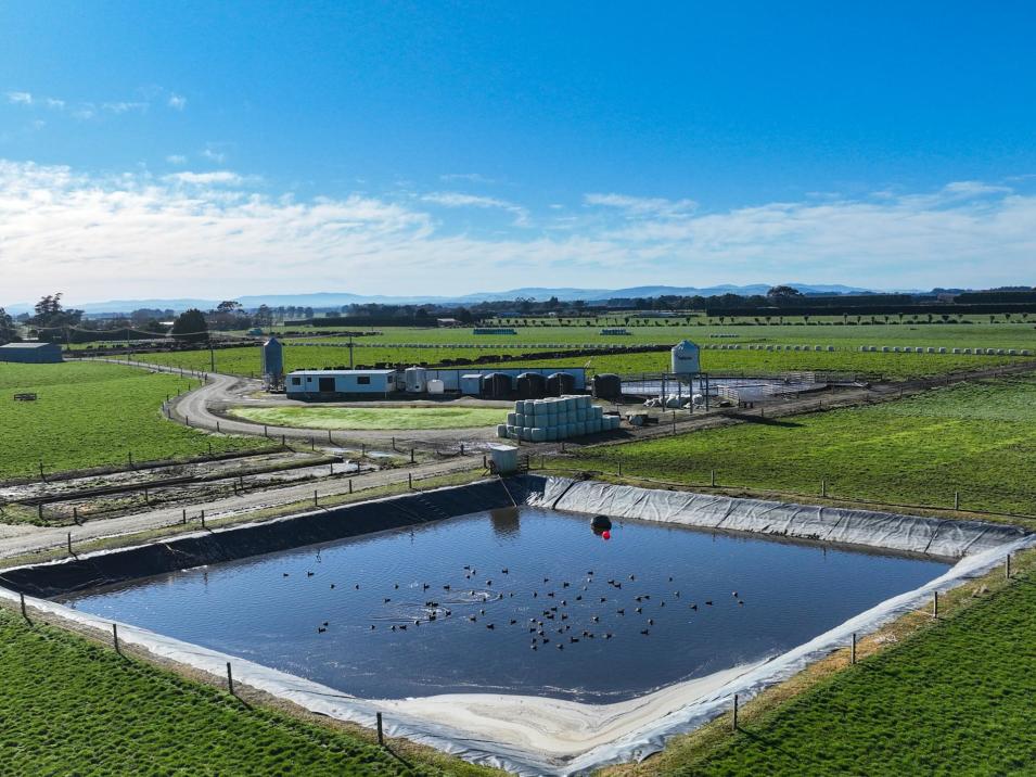 91 King Road, Waianiwa