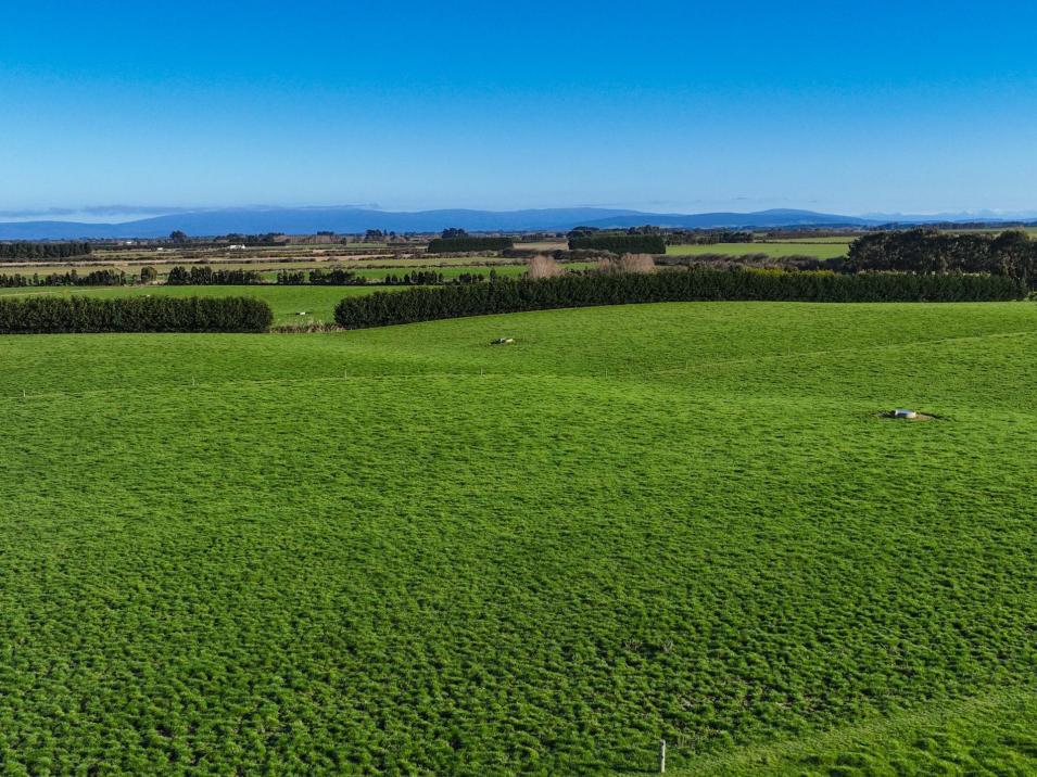 91 King Road, Waianiwa