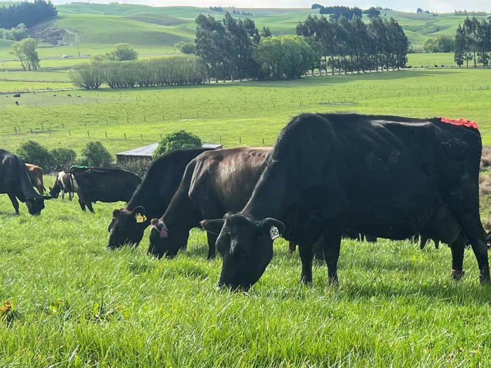 63 Howe Road, Waikaka