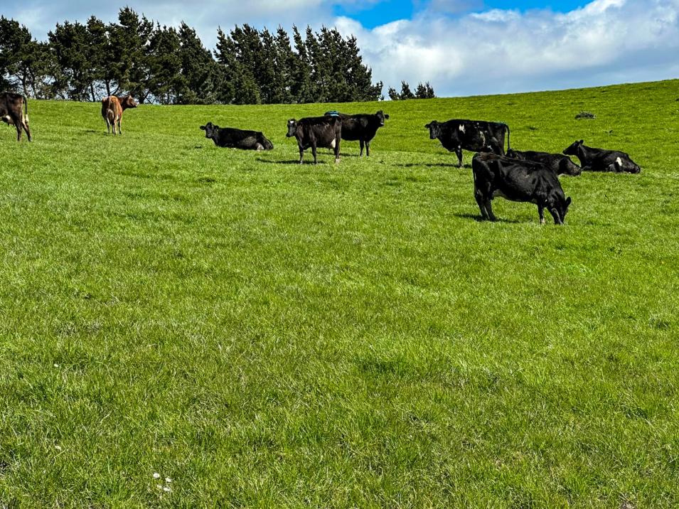 63 Howe Road, Waikaka