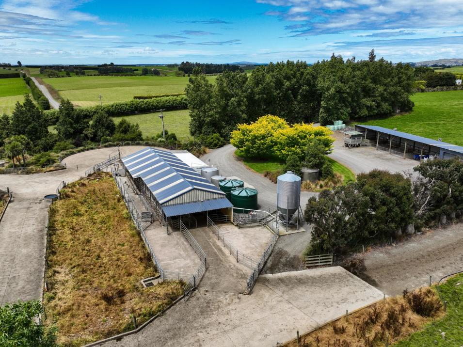 318 Waipango Ermedale Road, Gummies Bush