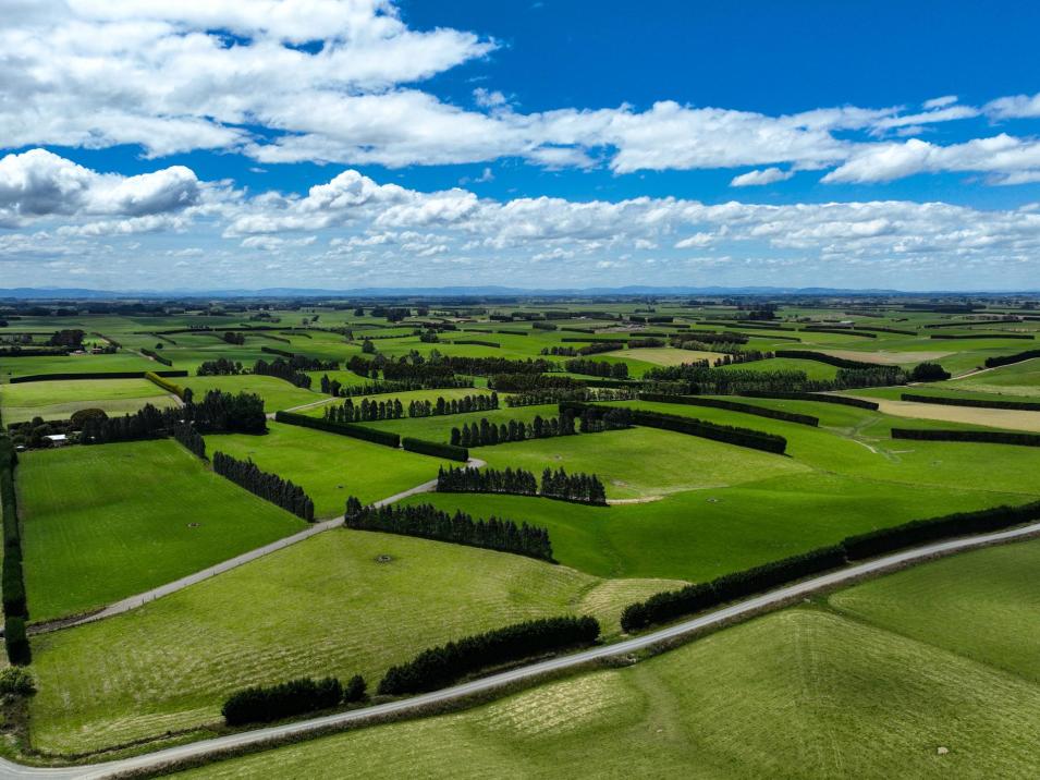 318 Waipango Ermedale Road, Gummies Bush