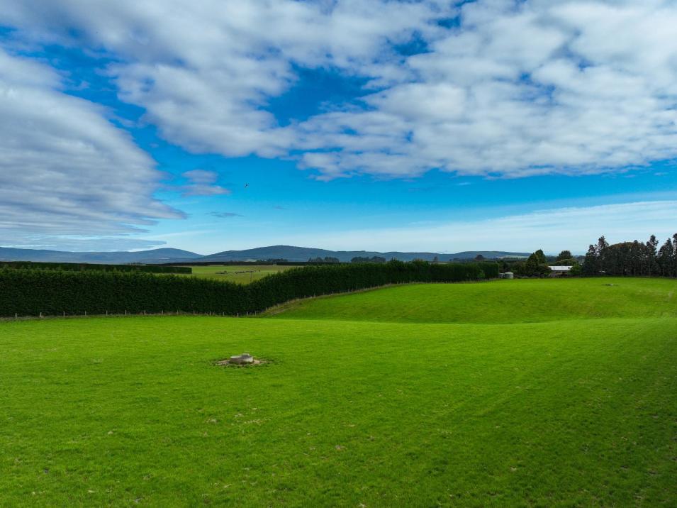 318 Waipango Ermedale Road, Gummies Bush