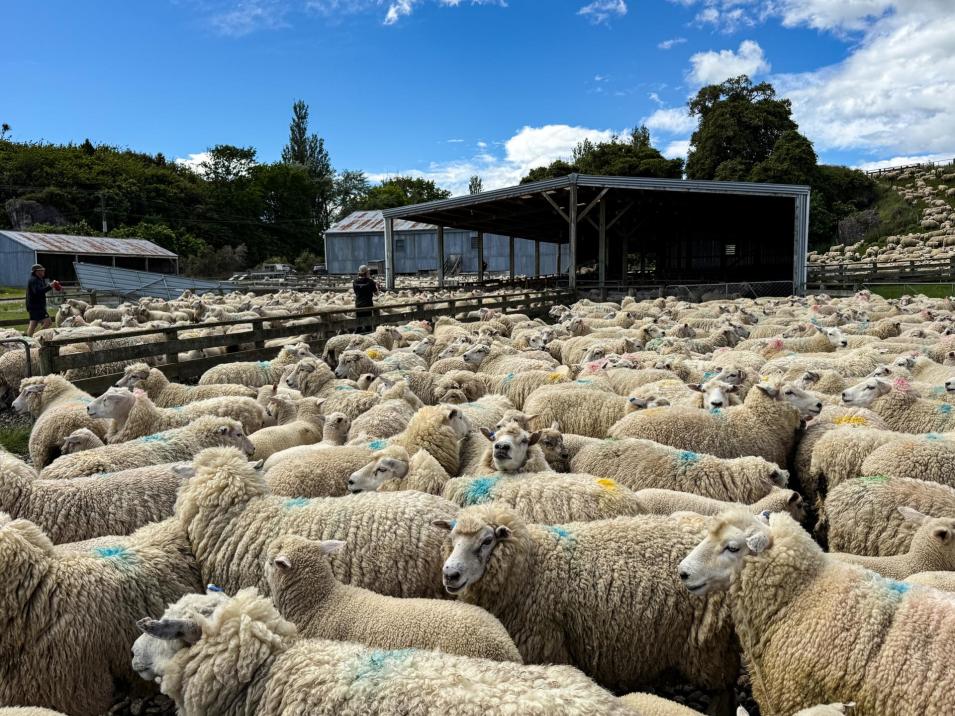 21 Lillburn Valley Road, Clifden