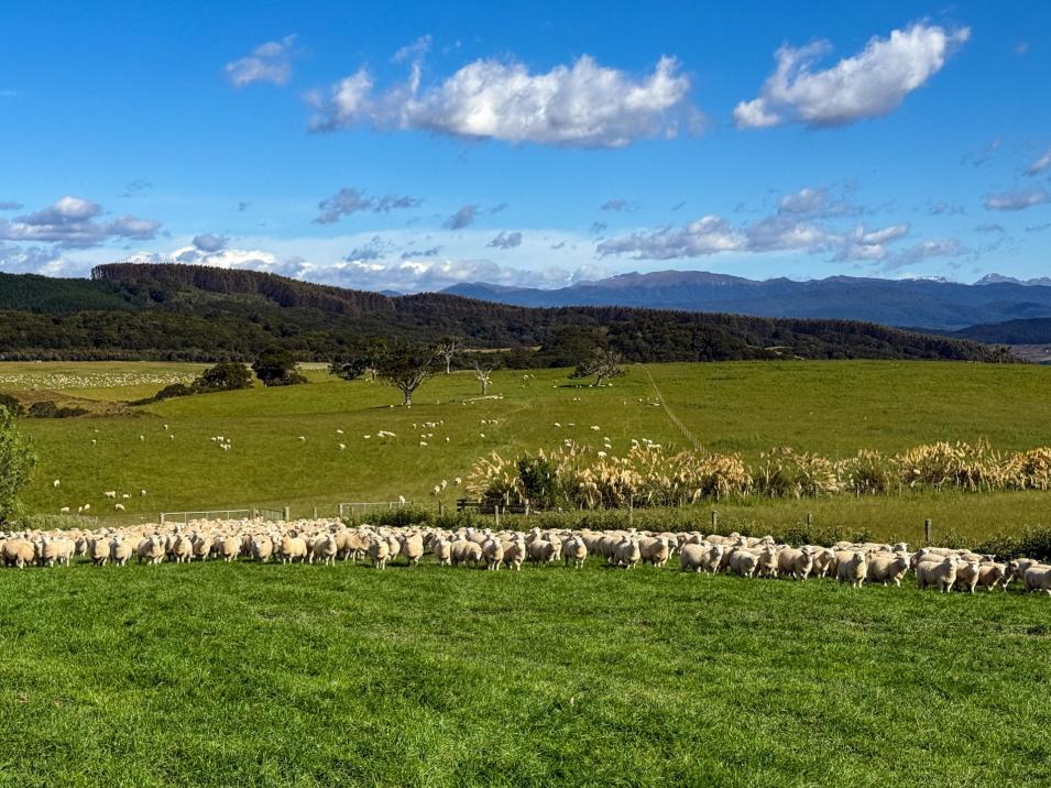 21 Lillburn Valley Road, Clifden