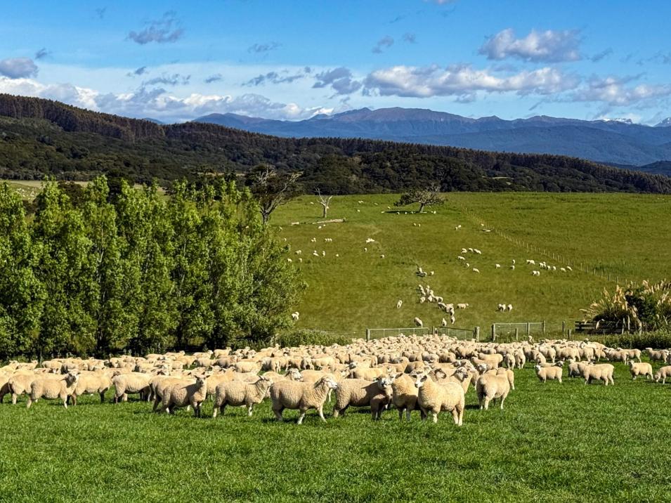 21 Lillburn Valley Road, Clifden