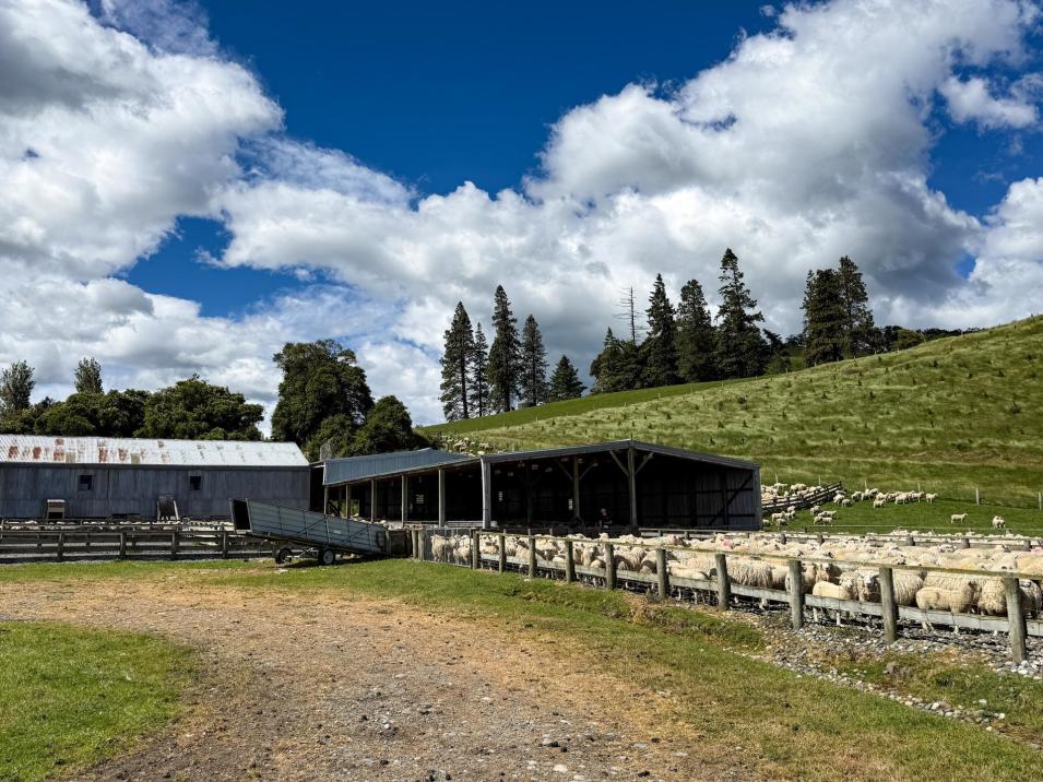 21 Lillburn Valley Road, Clifden