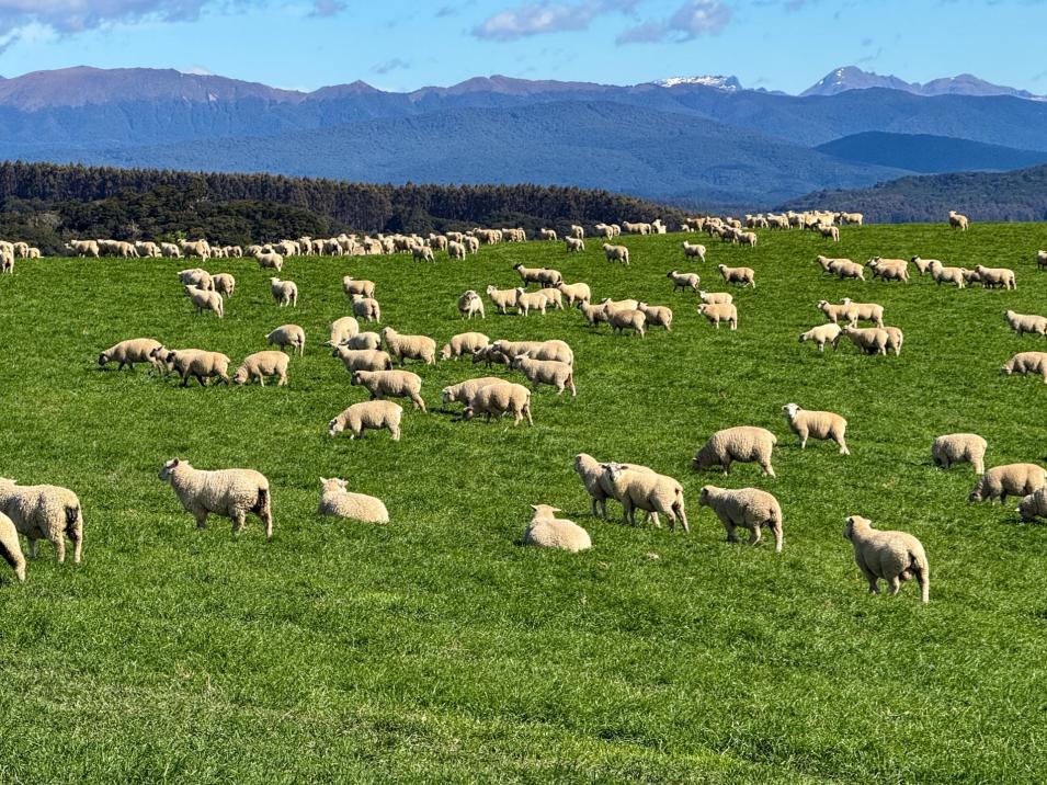 21 Lillburn Valley Road, Clifden