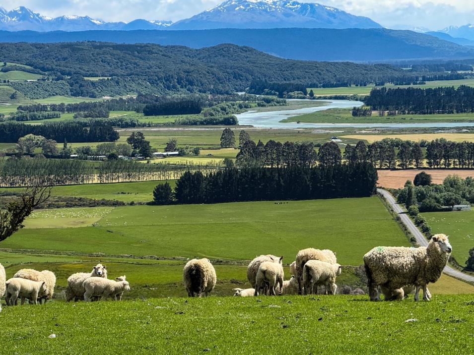 21 Lillburn Valley Road, Clifden