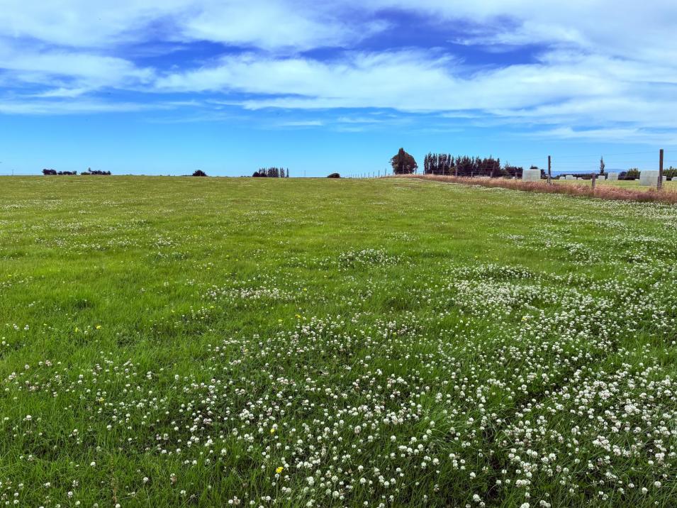 310 Drummond Oreti Road, Oreti Plains