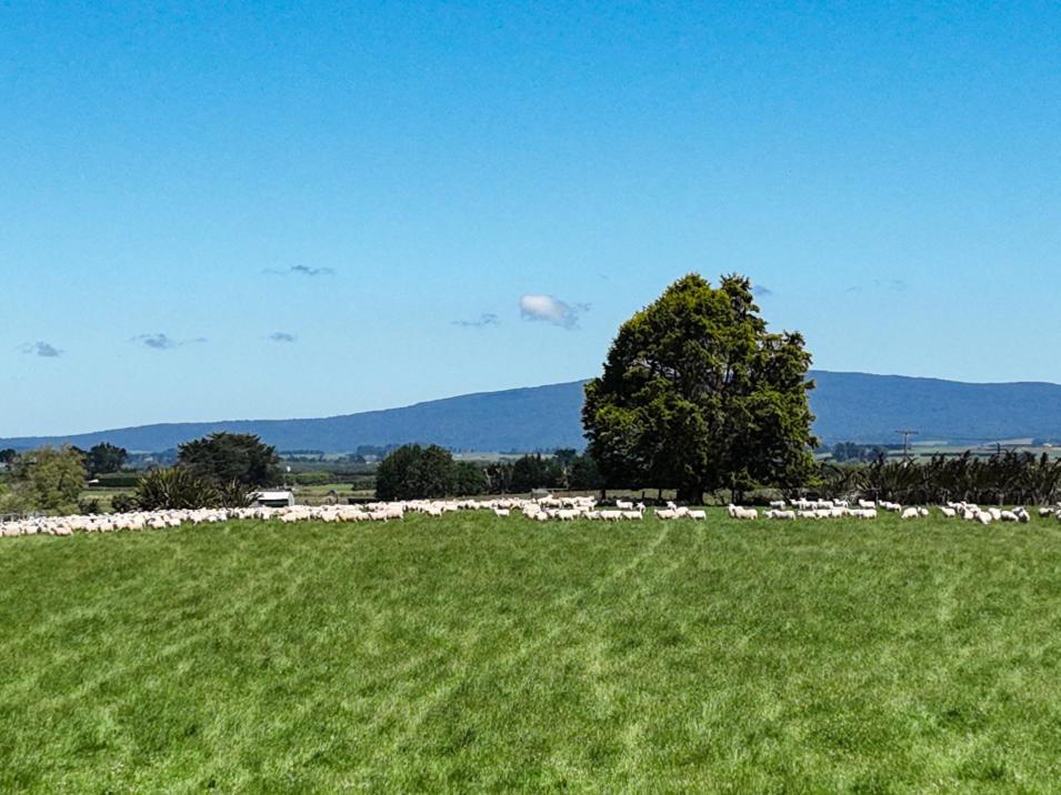 1589 Riverton Wallacetown Highway, Thornbury