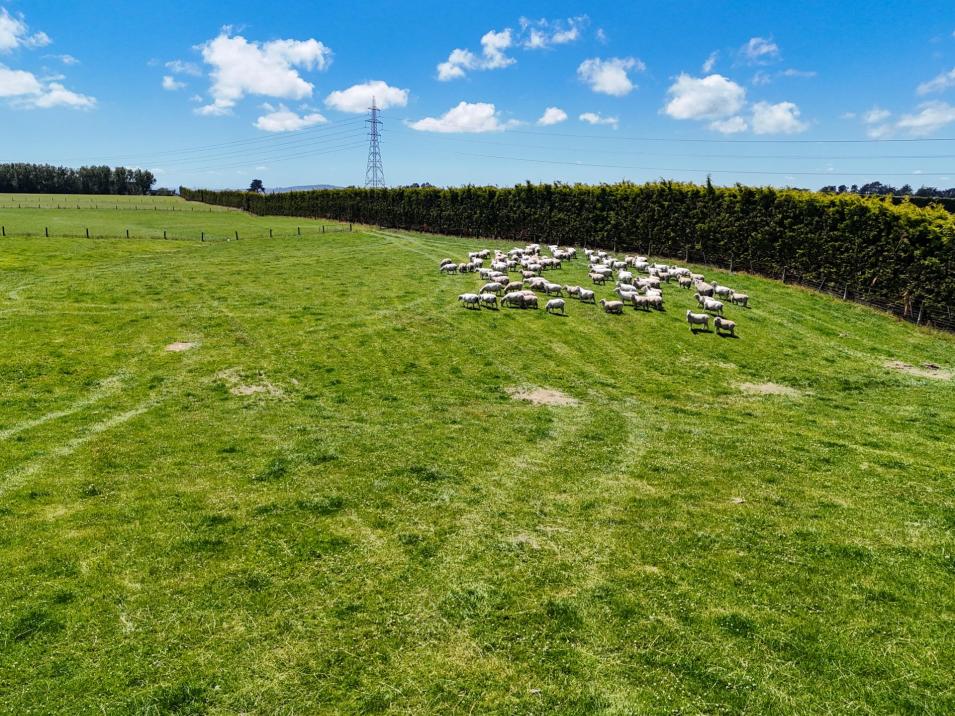 173 Taylor Road, Makarewa