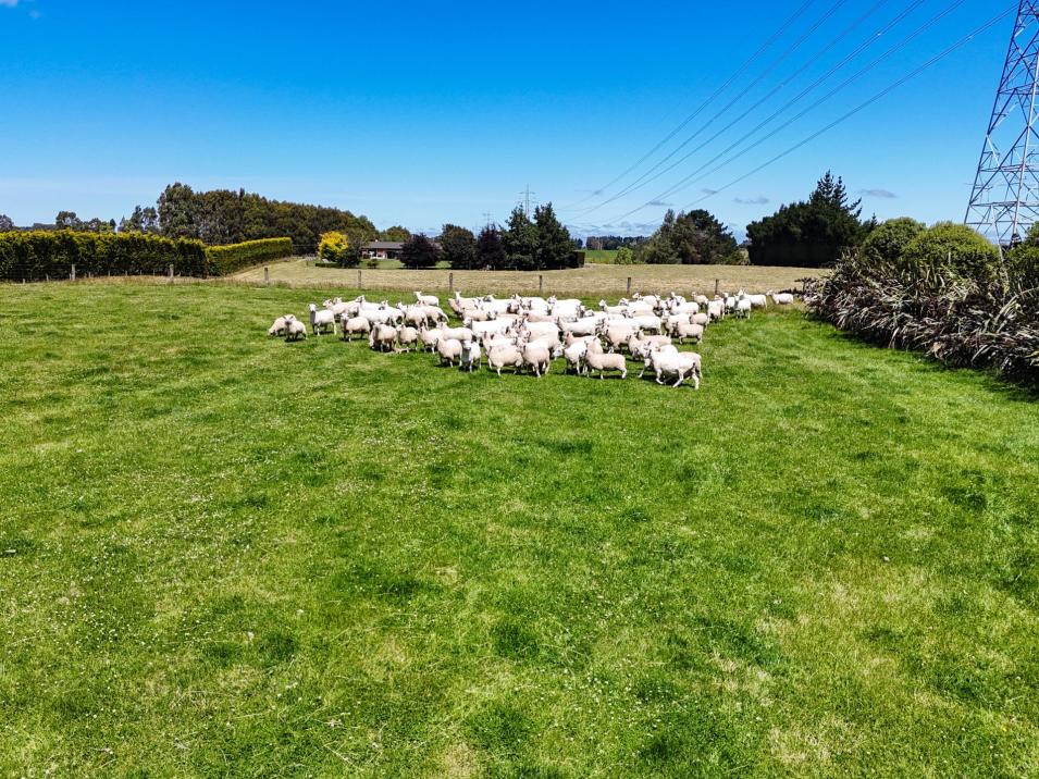 173 Taylor Road, Makarewa