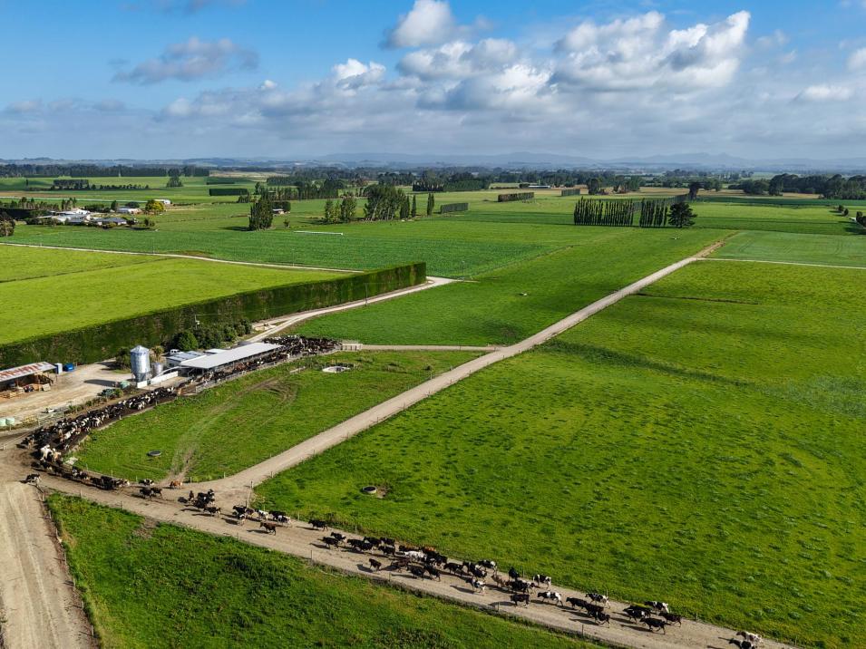 545 Coal Pit, Wyndham