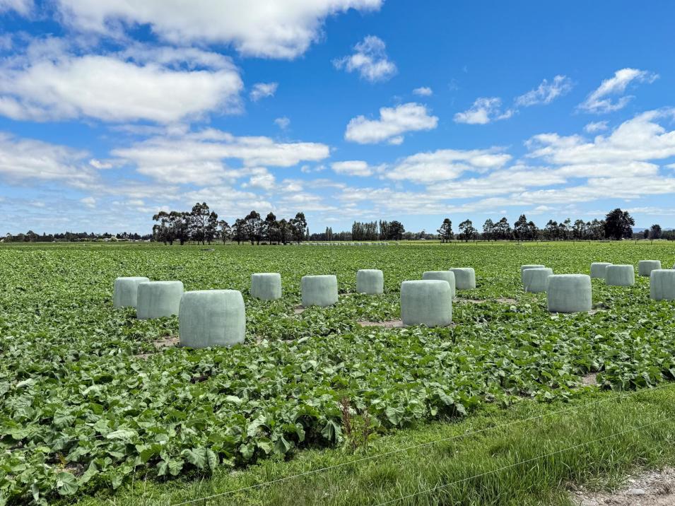 545 Coal Pit, Wyndham