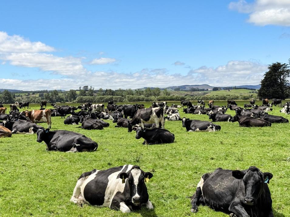 545 Coal Pit, Wyndham