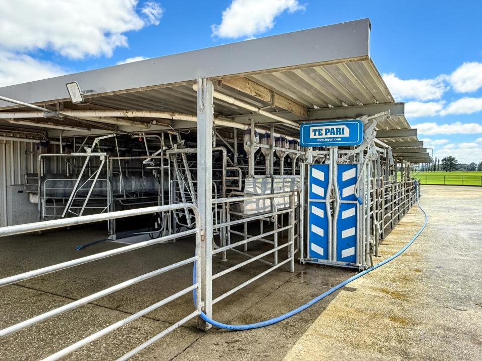 545 Coal Pit, Wyndham