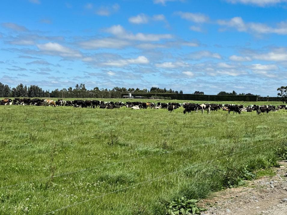 545 Coal Pit, Wyndham