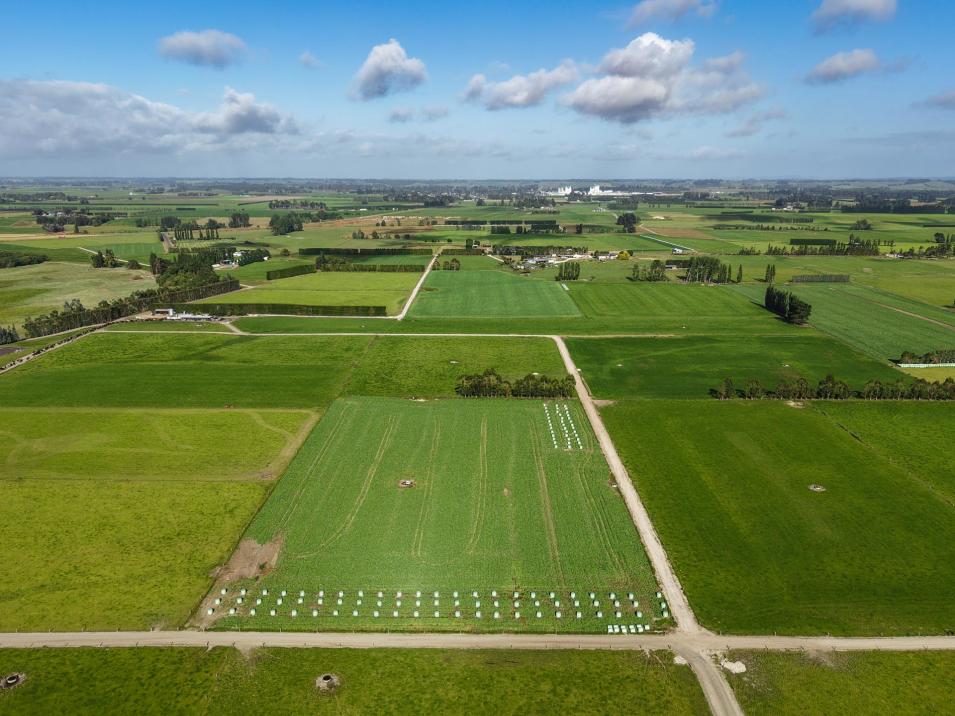 545 Coal Pit, Wyndham