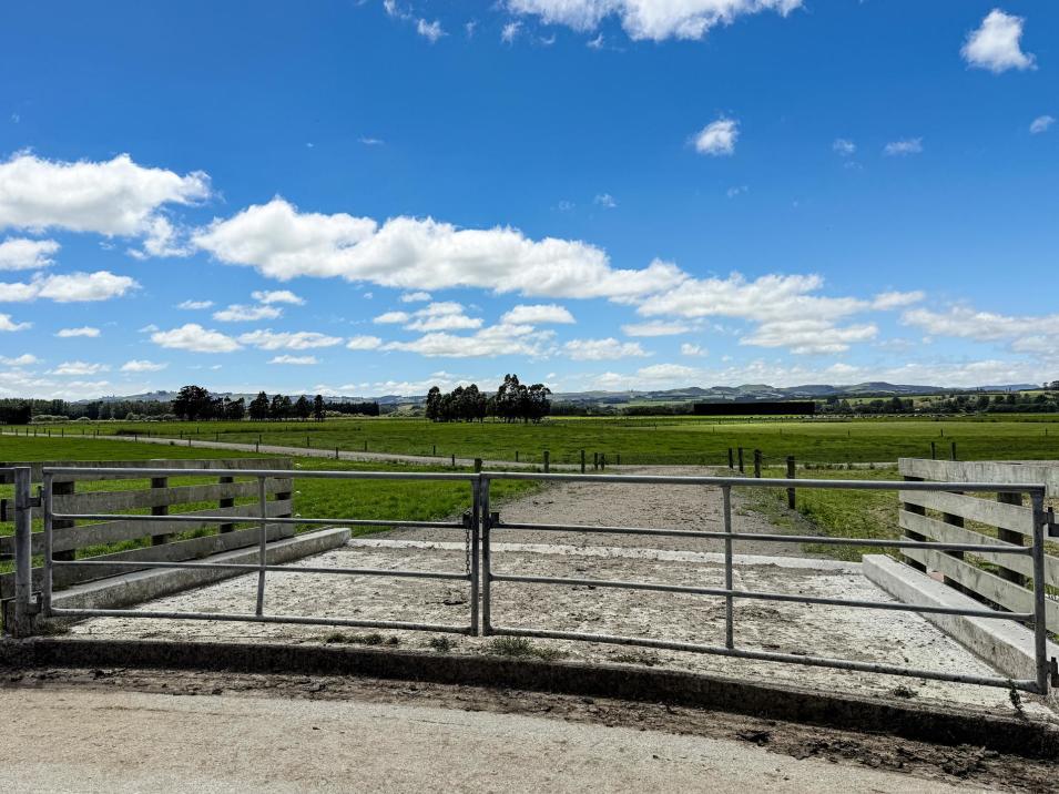 545 Coal Pit, Wyndham