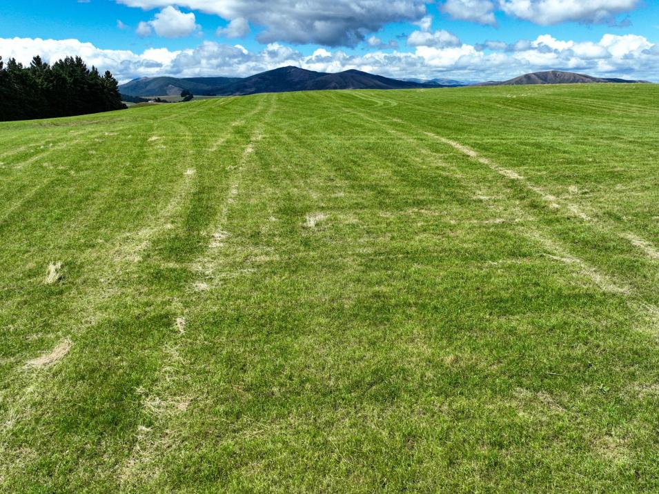 412 Kakapo Road, Te Anau