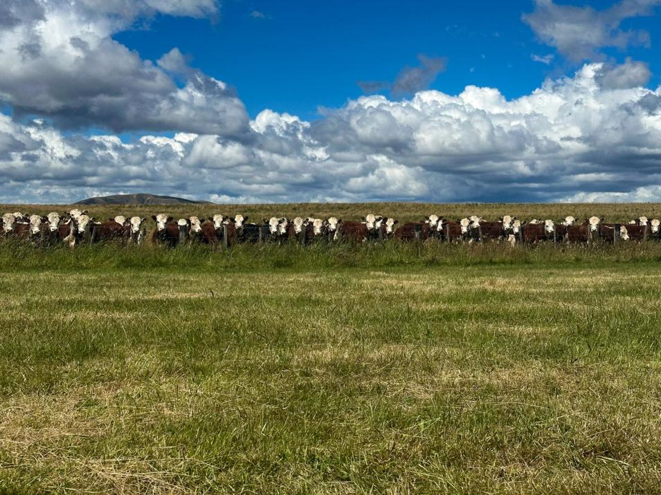412 Kakapo Road, Te Anau